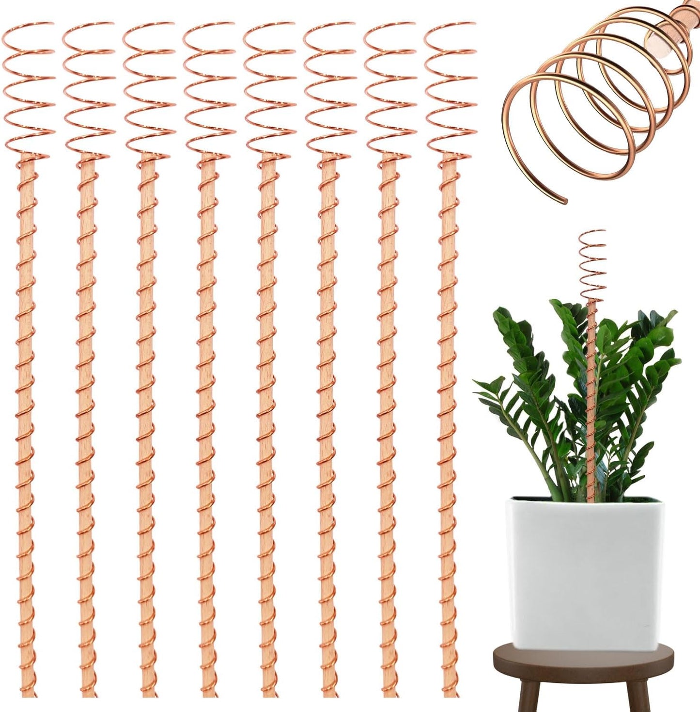 A New Way People Are Supporting Plant Growth Naturally