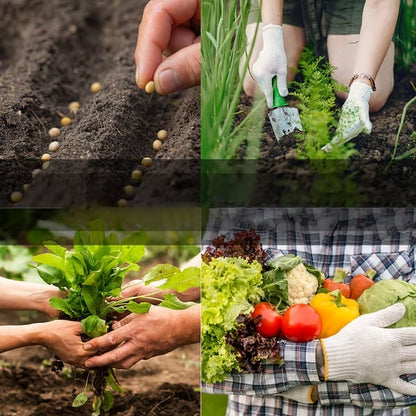 🏆50K+ SOLD LAST WEEK!  - 🥦Ultimate Survival Seed Vault  |🌿50-Year Shelf Life✨