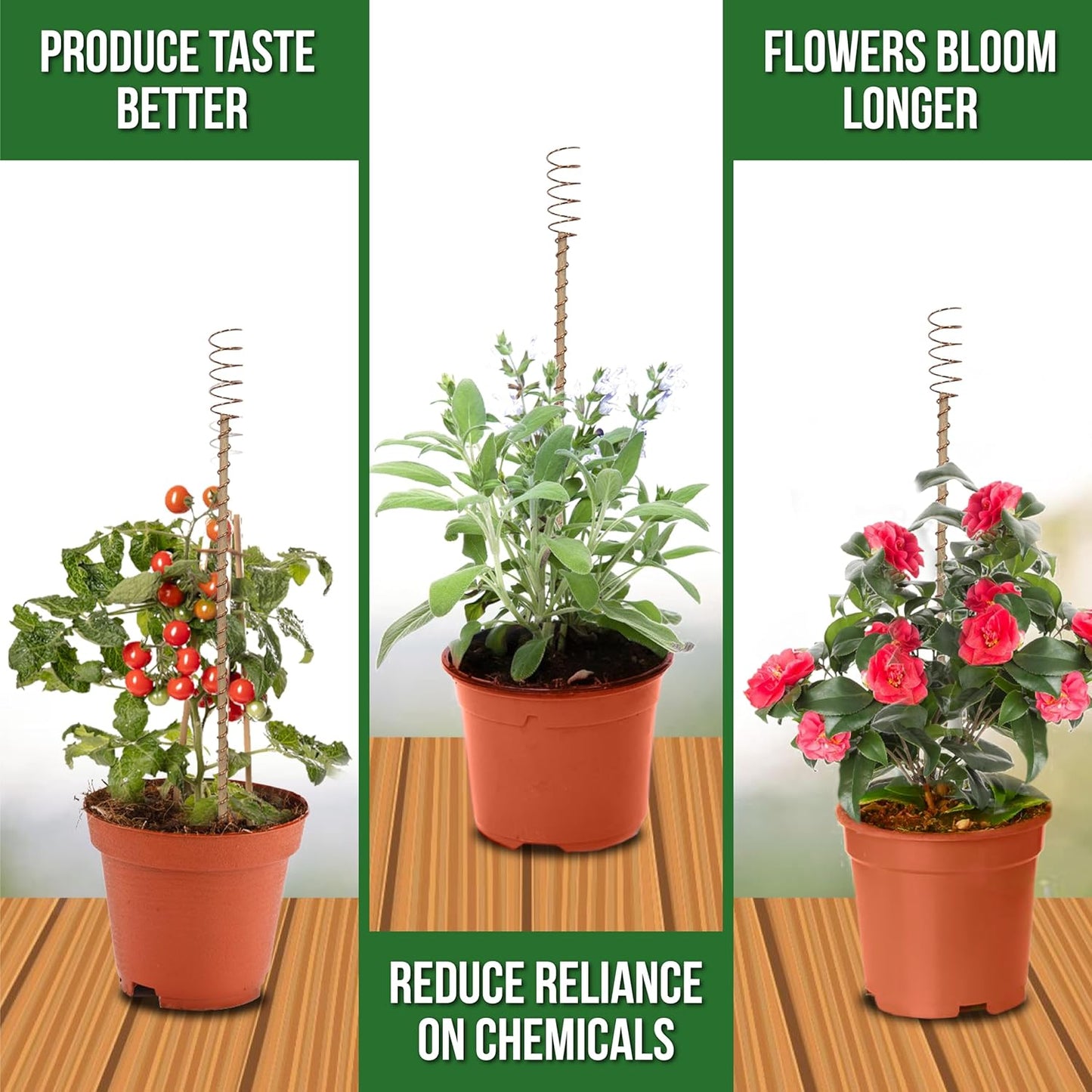 A New Way People Are Supporting Plant Growth Naturally