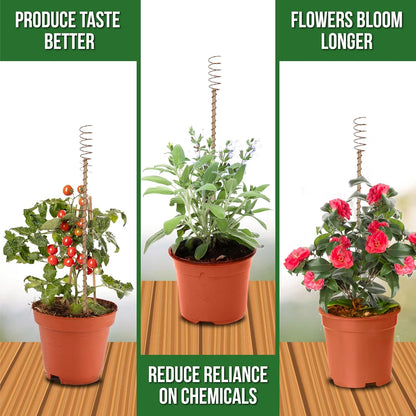 A New Way People Are Supporting Plant Growth Naturally