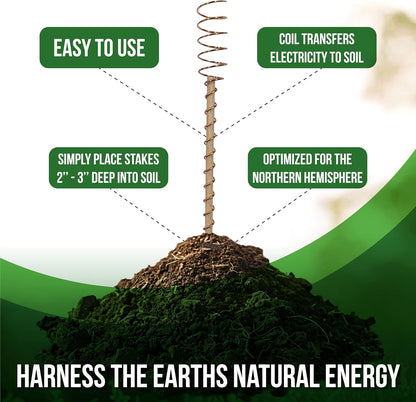A New Way People Are Supporting Plant Growth Naturally