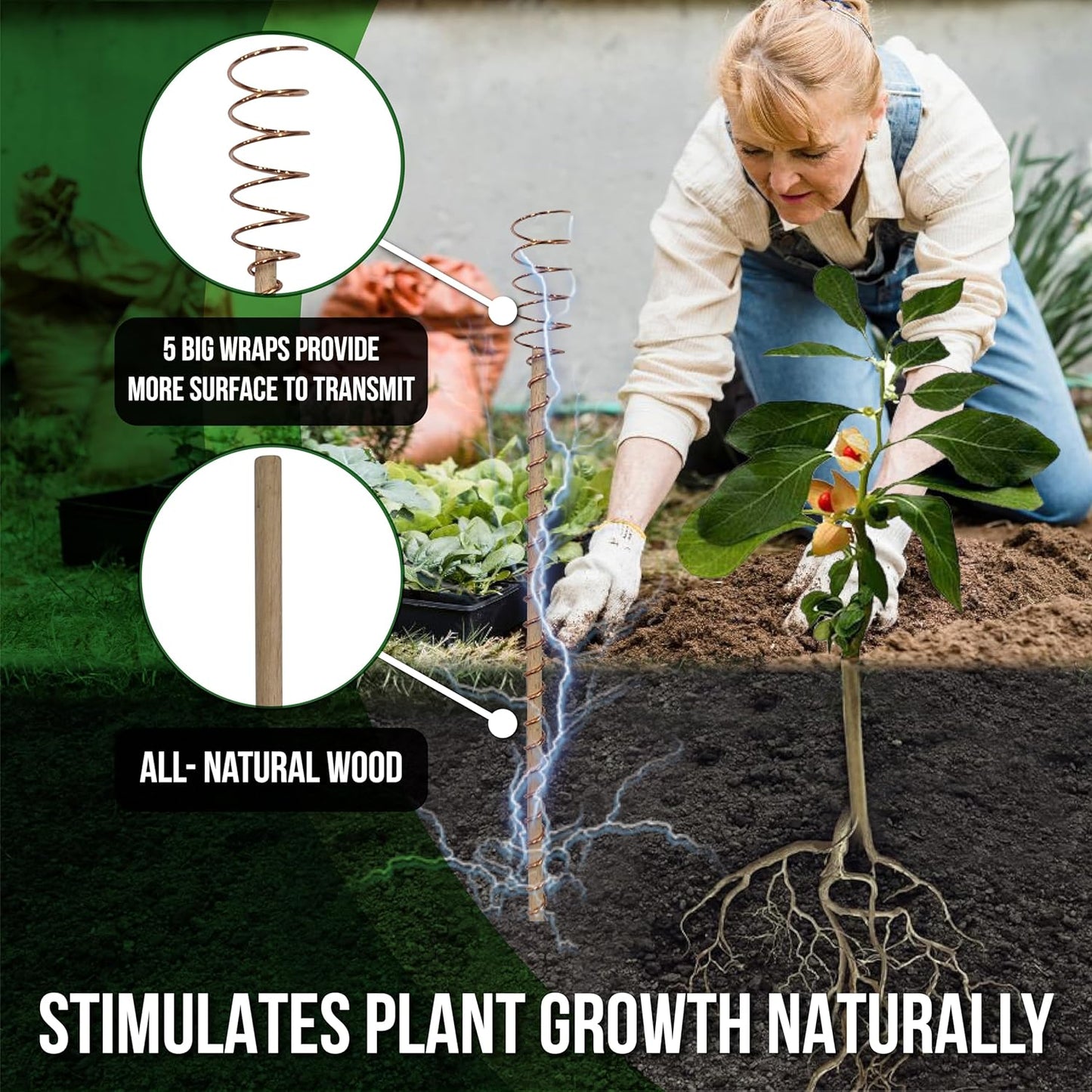 A New Way People Are Supporting Plant Growth Naturally