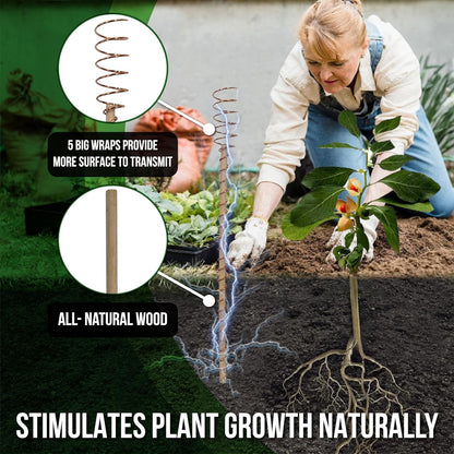 A New Way People Are Supporting Plant Growth Naturally